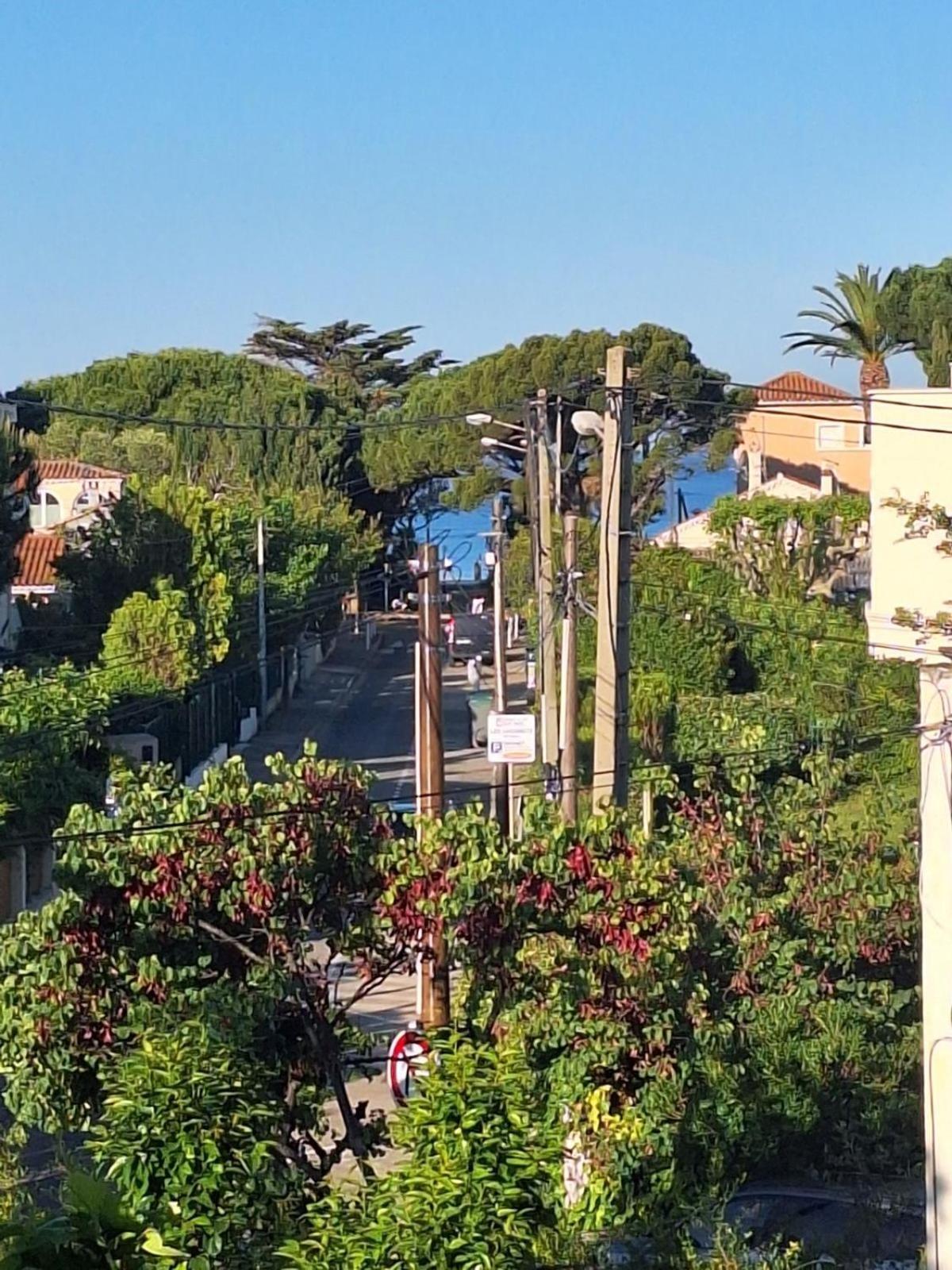 Appartement La Fregate Avec Terrasse A 100M De La Plage Saint-Cyr-sur-Mer Eksteriør billede